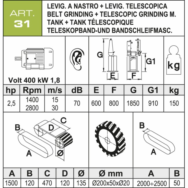 ART.31